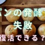 パン 一次発酵 失敗 したら