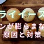 パン 発酵 膨らまない 再利用